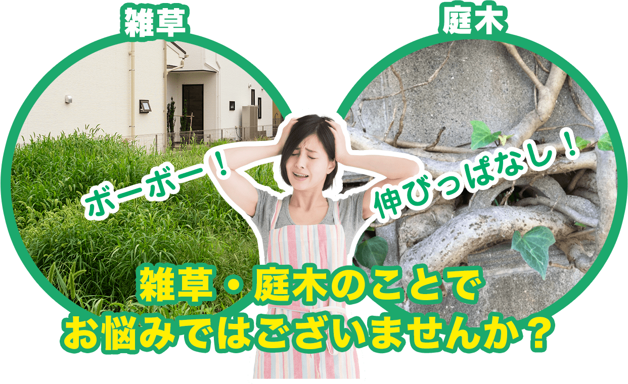 雑草・庭木のことで お悩みではございませんか？